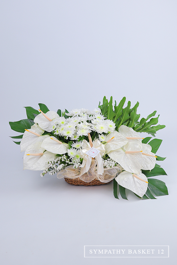 Sympathy Basket 12 Sympathy Basket of Anthuriums and Mums