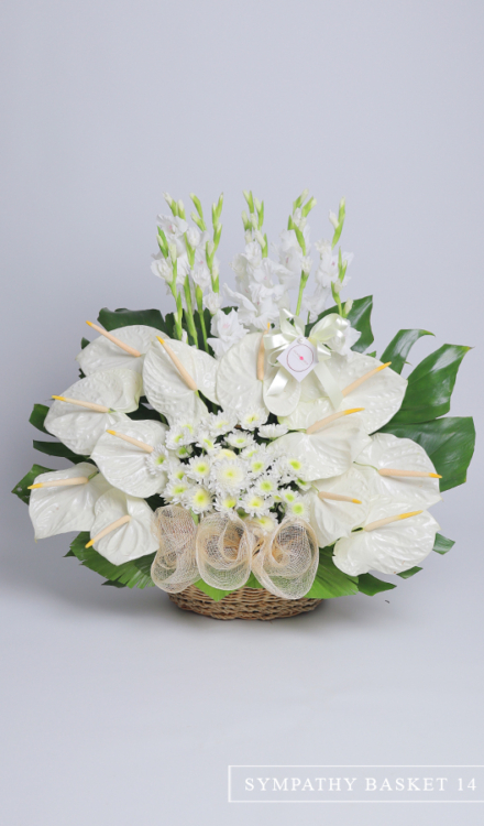 Sympathy Basket of Anthuriums, Mums and Gladiolus