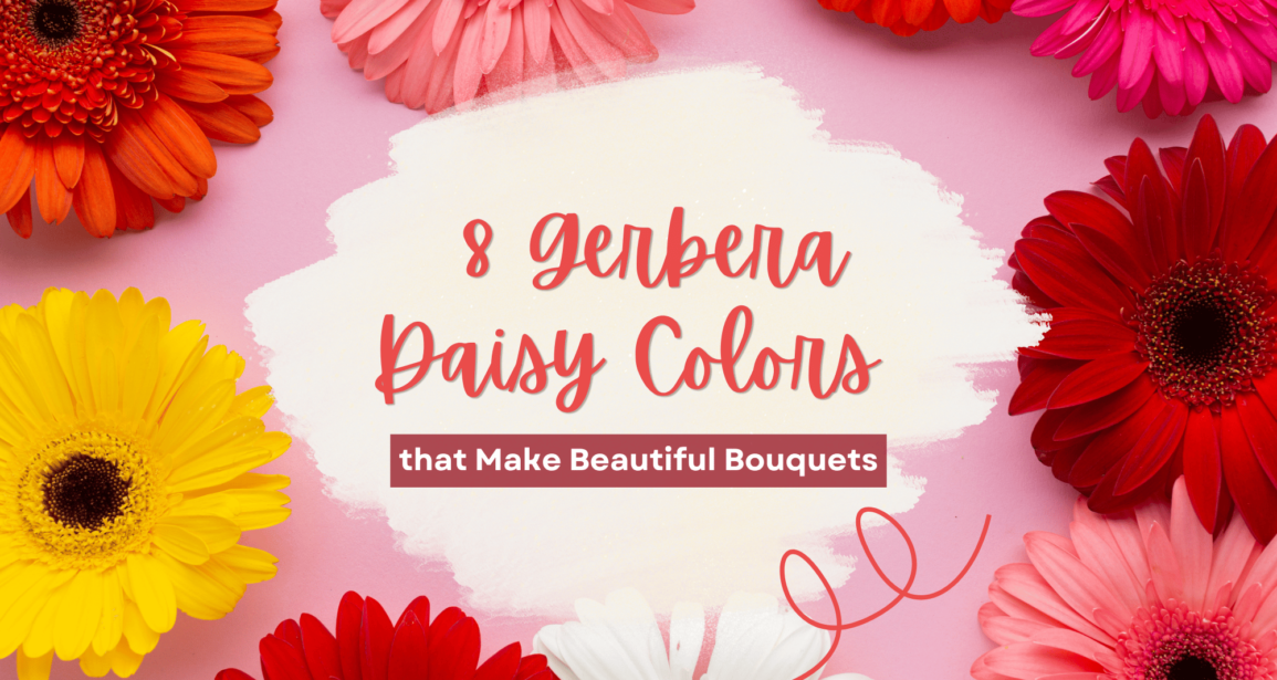 8 Gerbera Daisy Colors that Make Beautiful Bouquets