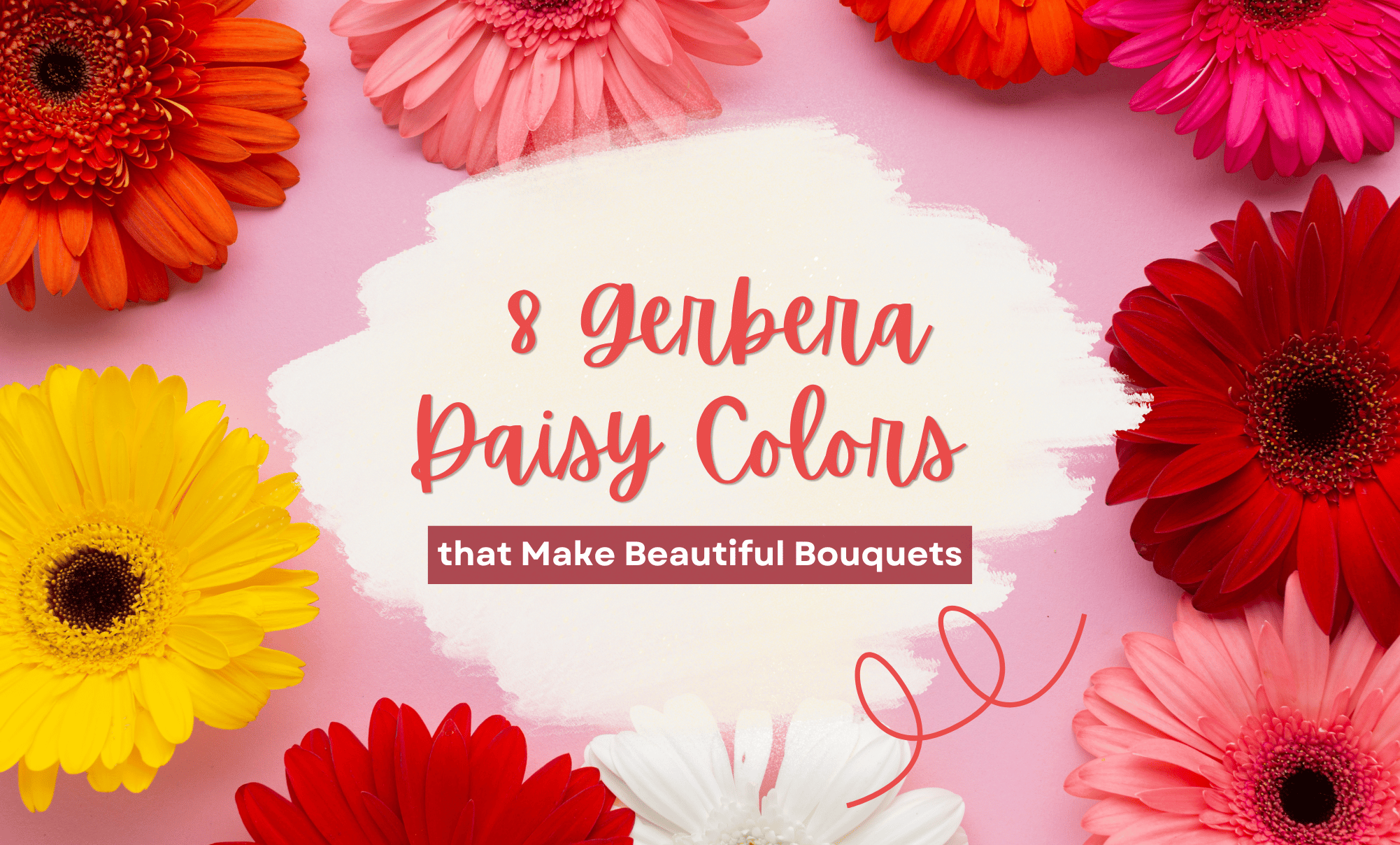 8 Gerbera Daisy Colors that Make Beautiful Bouquets