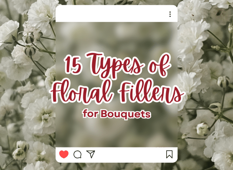 15 Types of Floral Fillers for Bouquets