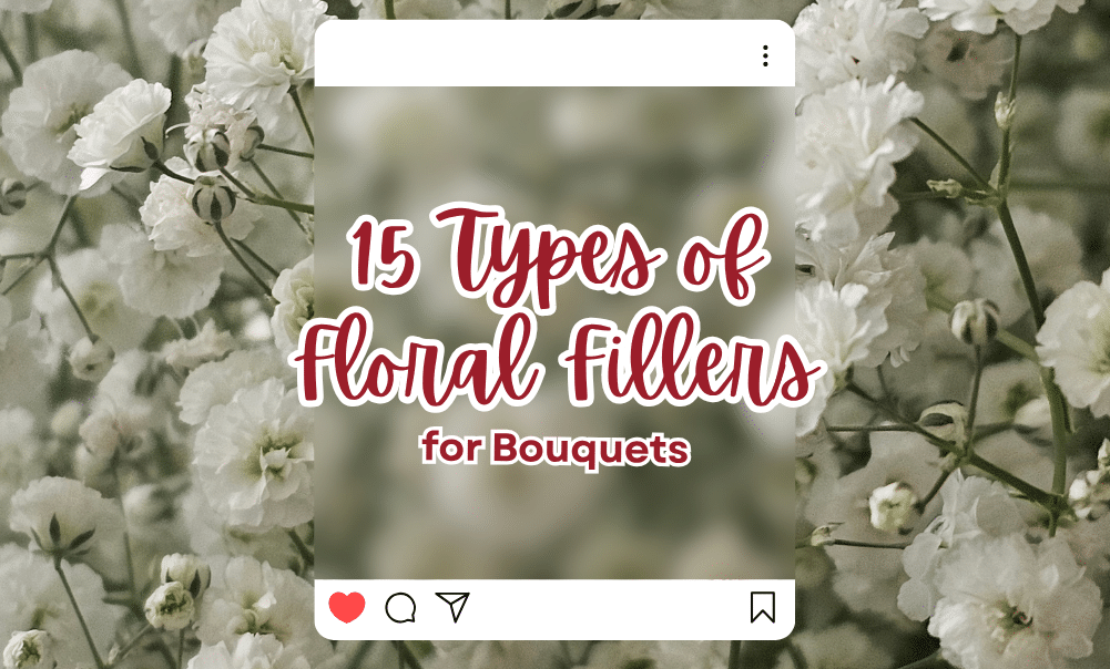 15 Types of Floral Fillers for Bouquets
